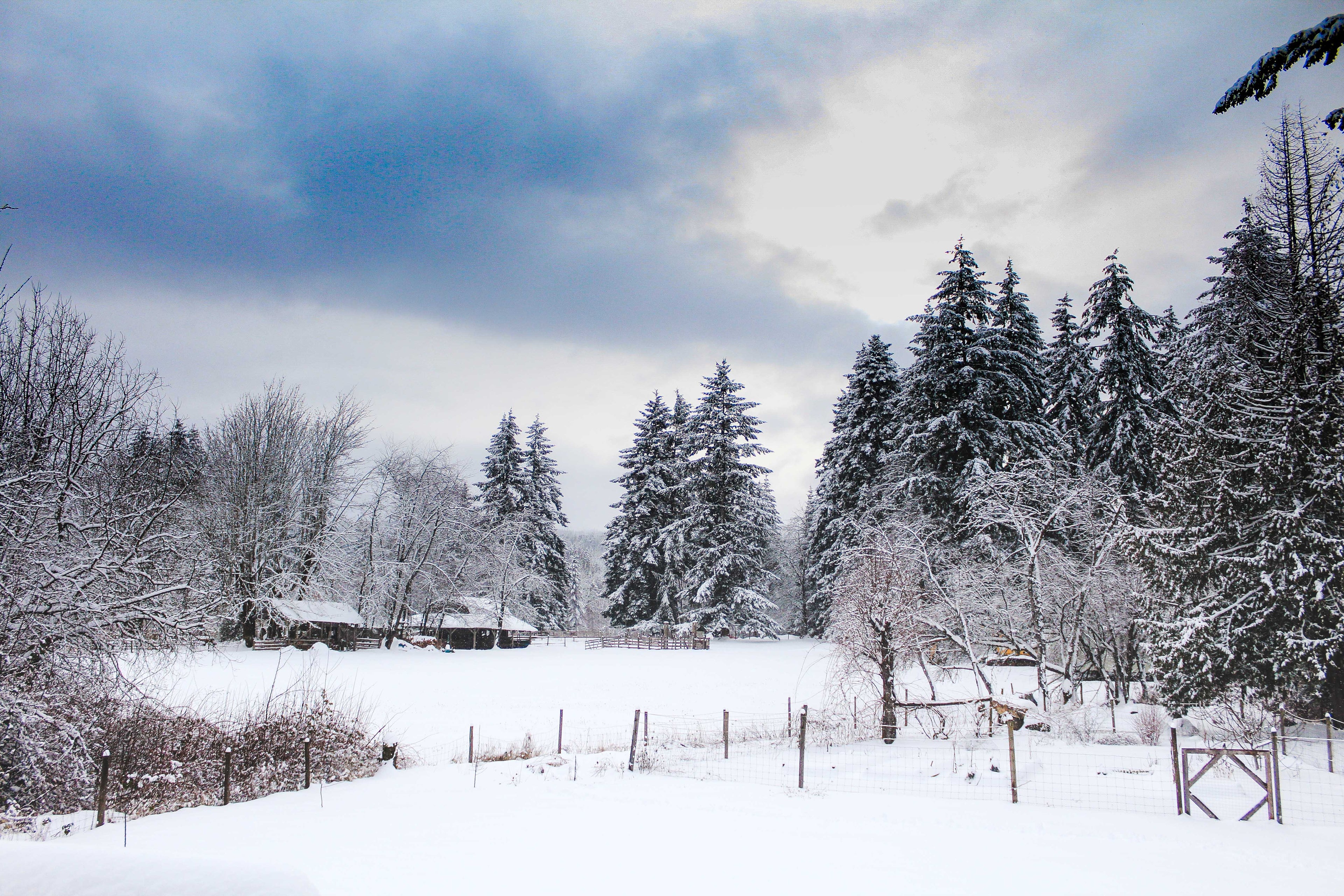 Christmas is Coming! Here's where to find us this Winter.