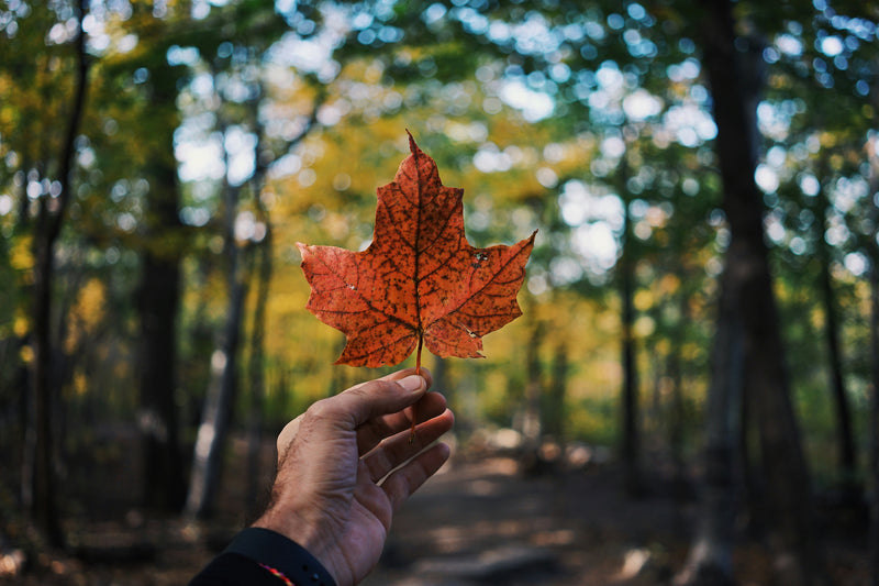Made in Canada: 7 Reasons to Buy Canadian-made Clothing
