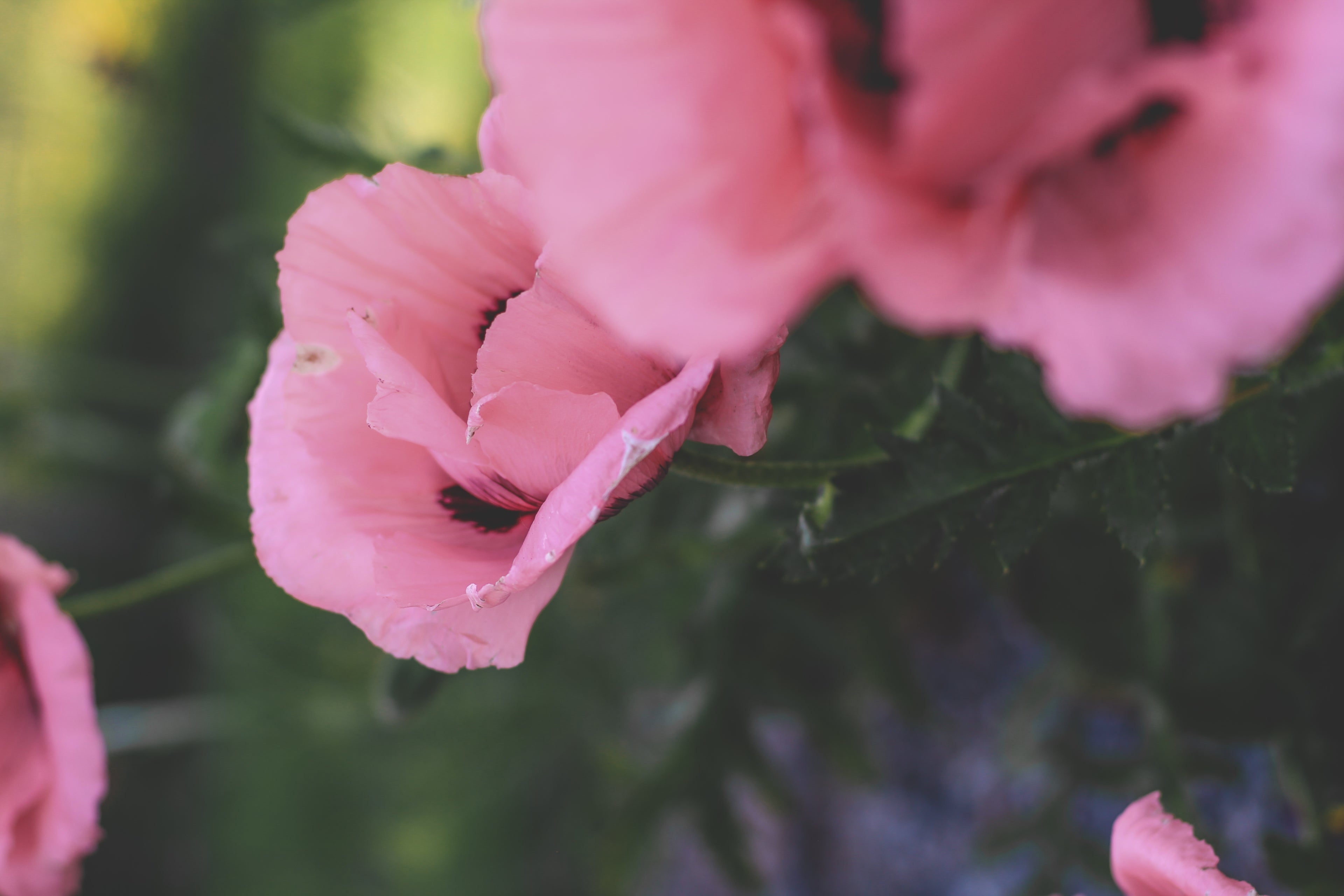 Mothers Day Gift Ideas