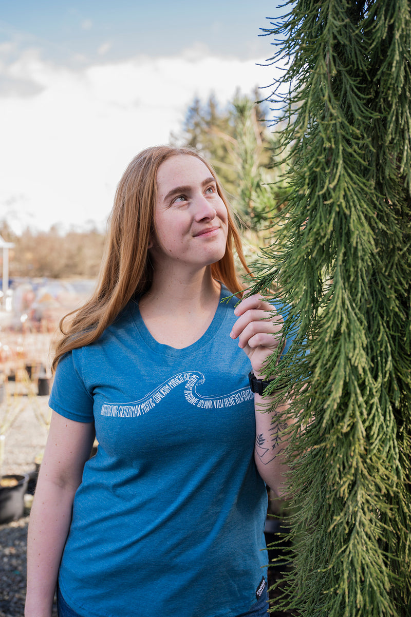 VAN ISLE WAVE - Women's Eco Tee - Heather Teal