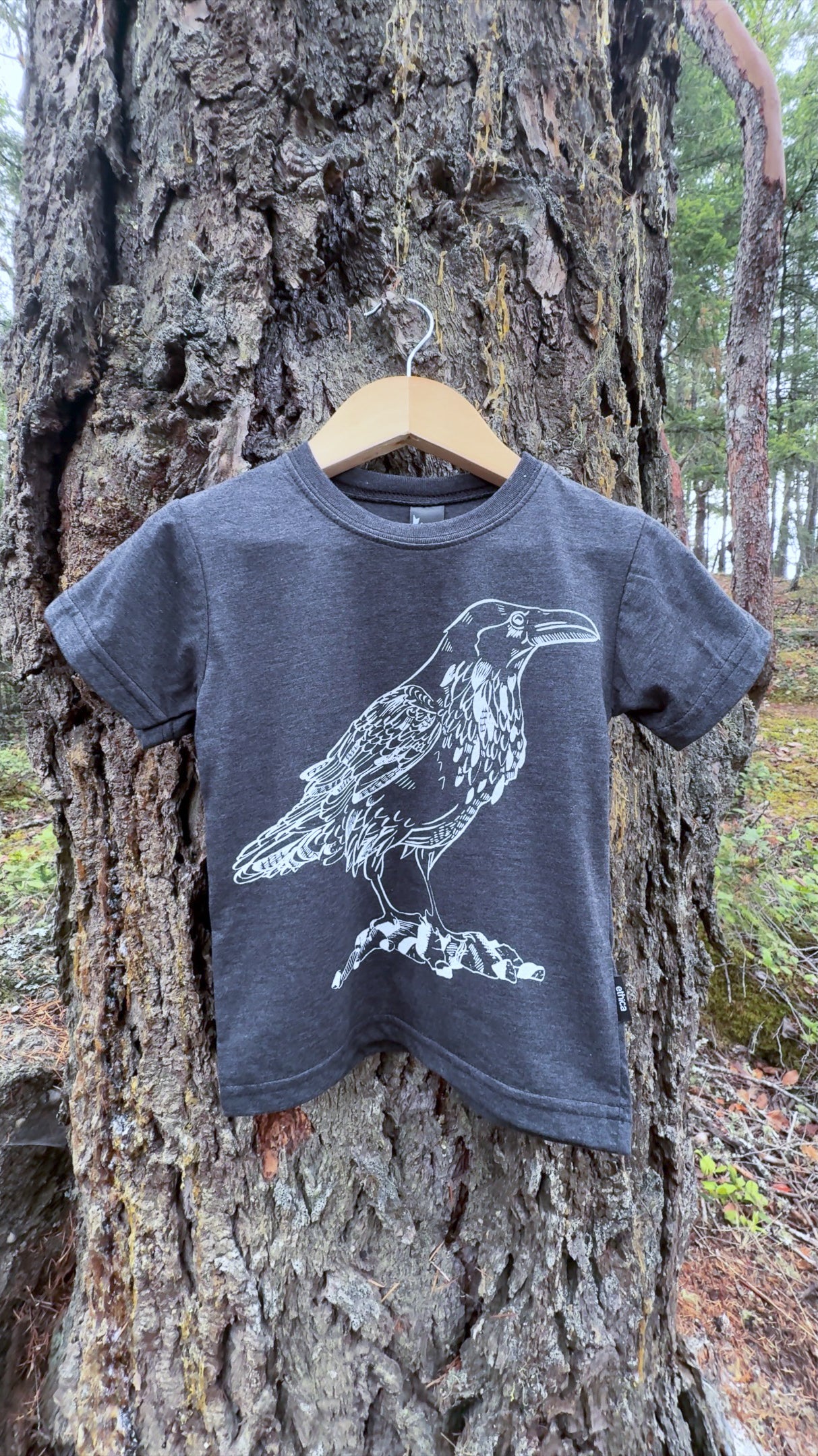 LITTLE RAVEN - Kids Eco Tee - Charcoal