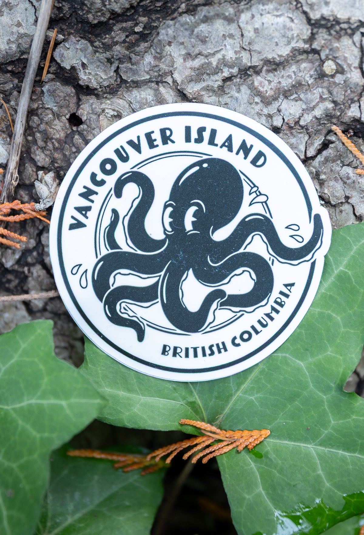 OCTOPUS VAN ISLE Eco Vinyl Sticker